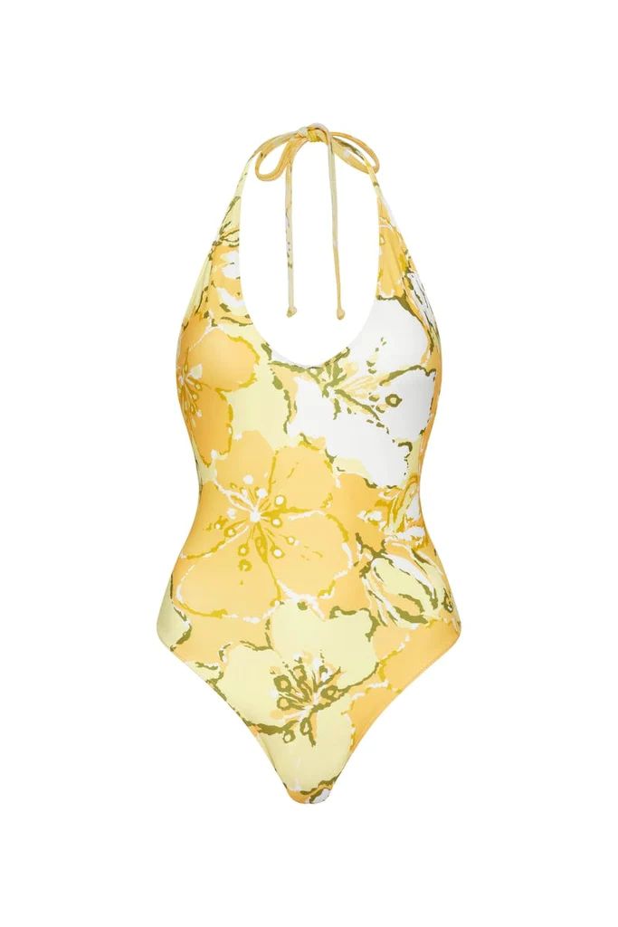 Liza One Piece Loretta Floral Print | Faithfull (AU)