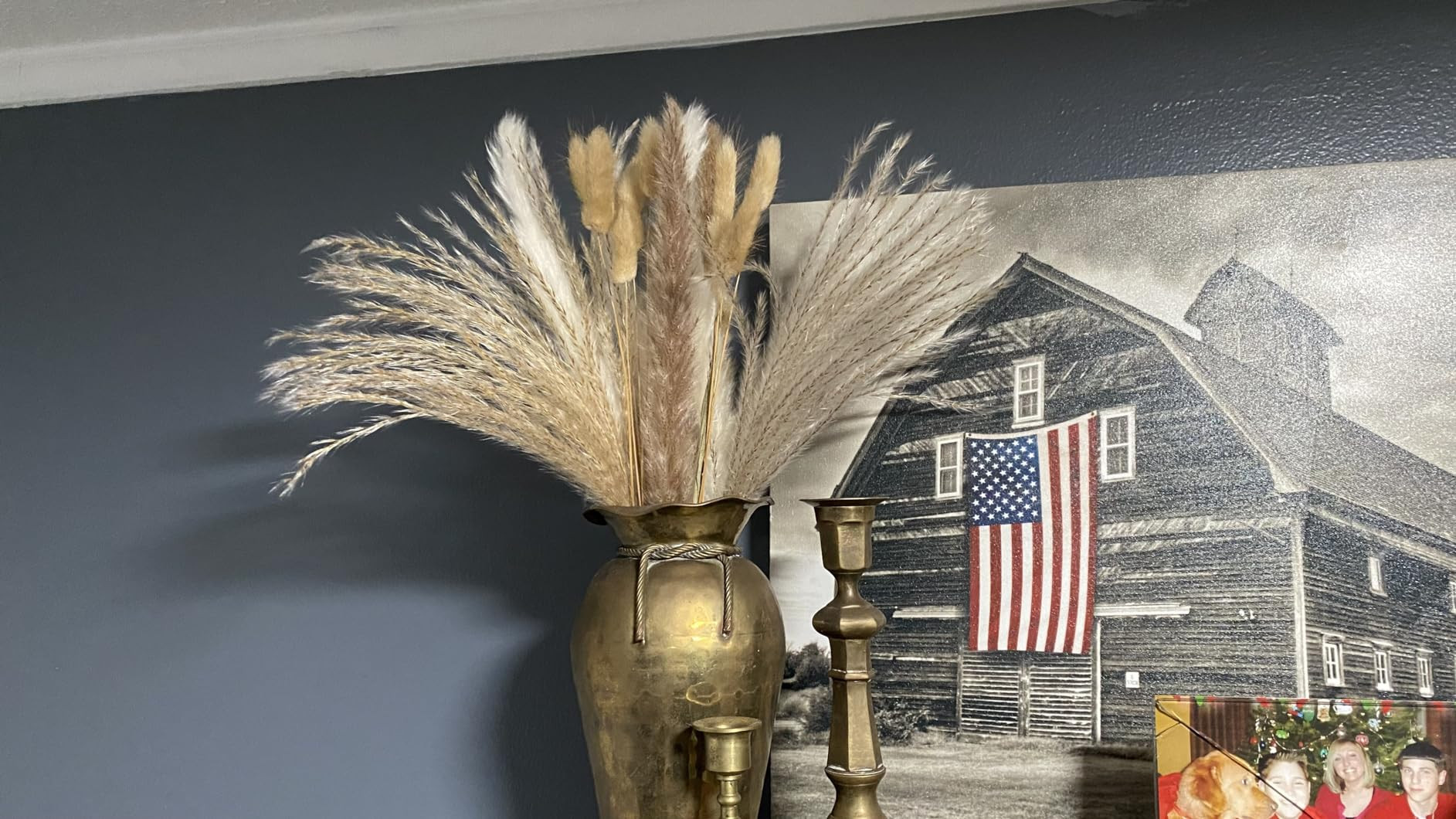Amazon.com: 100PCS Natural Dried Pampas Grass Bouquet, Dried Flowers for Fall Decor, Boho Home De... | Amazon (US)