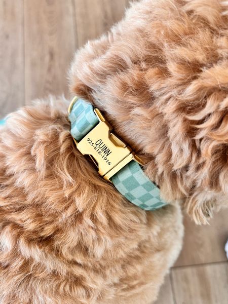 Cutest checkered dog collar and personalized!! 

#LTKSaleAlert #LTKFindsUnder50 #LTKFamily