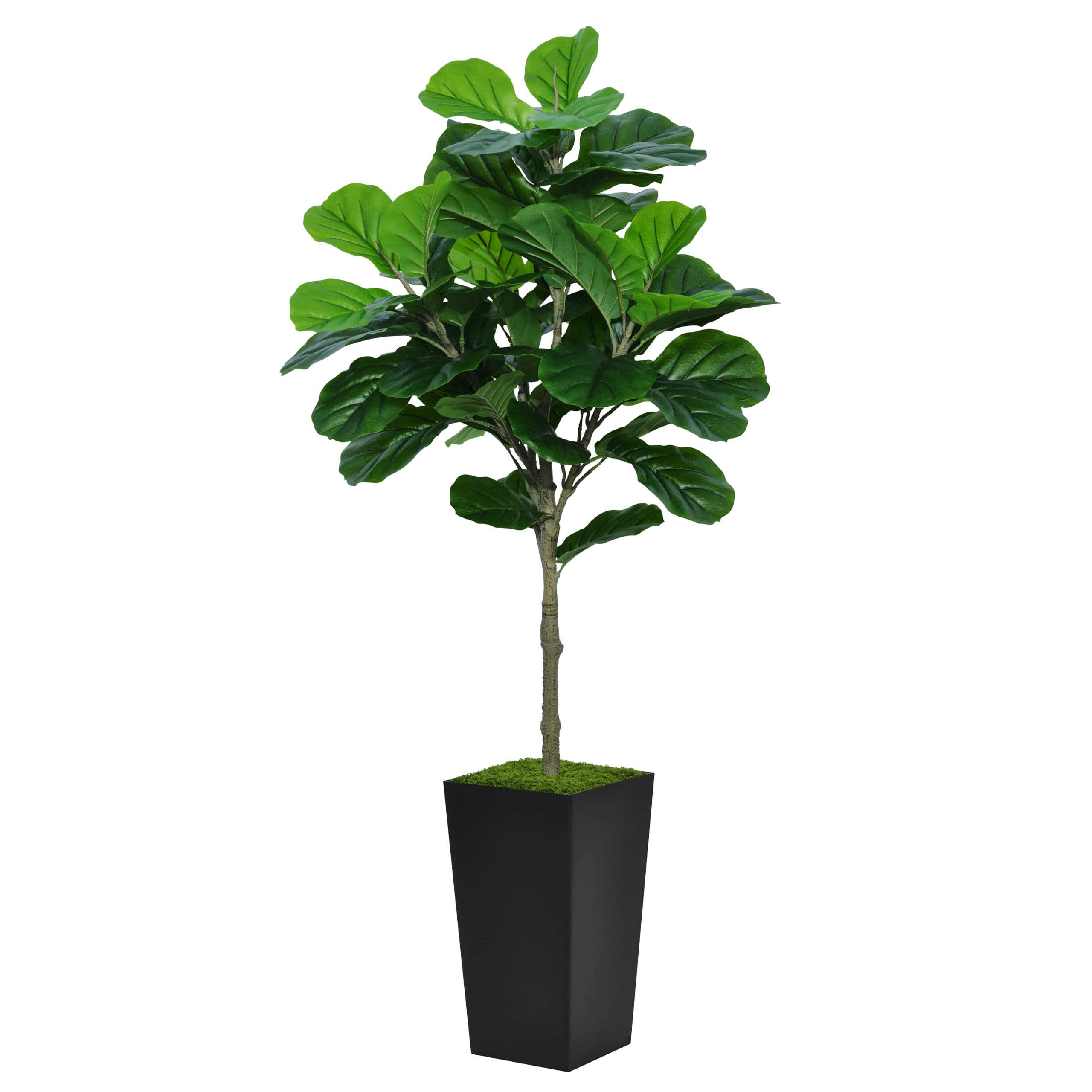Fiddle Leaf Fig Tree Artificial 5FT - Faux Plant With Black Tall Planter - Fake Ficus Lyrata Floo... | Amazon (US)