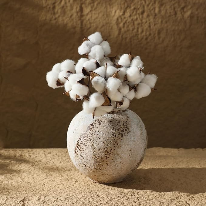 Rustic Ceramic Farmhouse Vase, Whitewashed Terracotta Flower Large Vase Pottery Decorative Vase f... | Amazon (US)