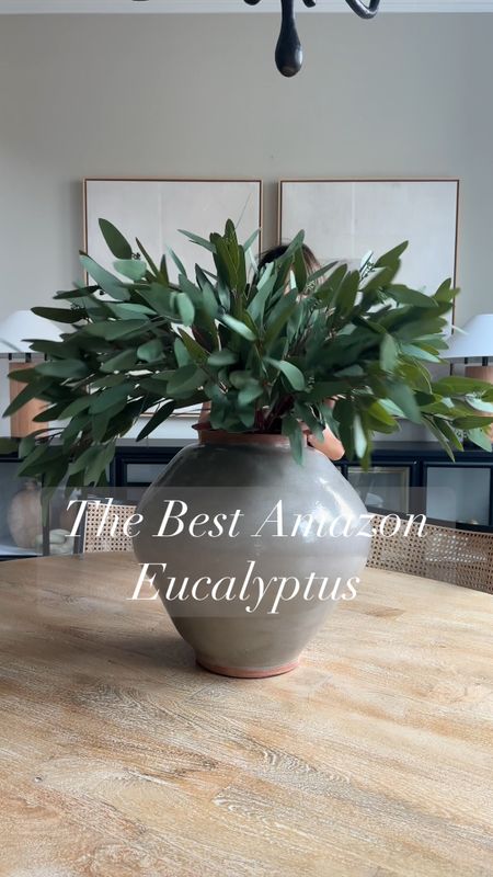 The best eucalyptus stems from Amazon!! They are incredibly realistic and come in 2 sizes the tall and the small. I have both and i keep buying more!! You can’t have too many!! 

#LTKHome #LTKVideo #LTKFindsUnder50