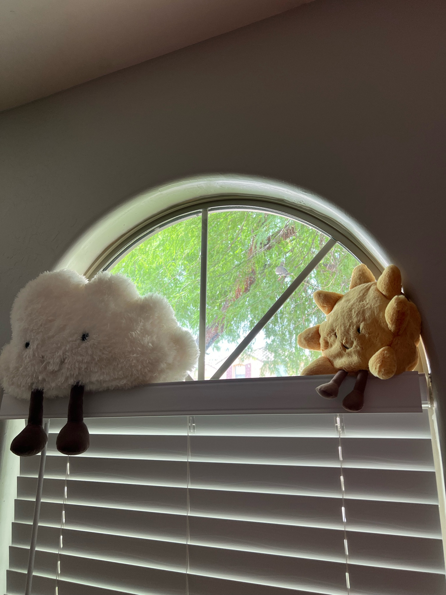 Decorating my windowsill with jellycats🌤️