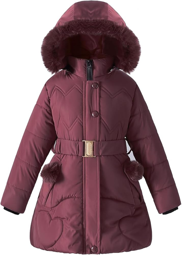 Girl Winter Dress Coats Hooded Fleece Jacket Warm Outwear Waterproof Heavy Parka | Amazon (US)
