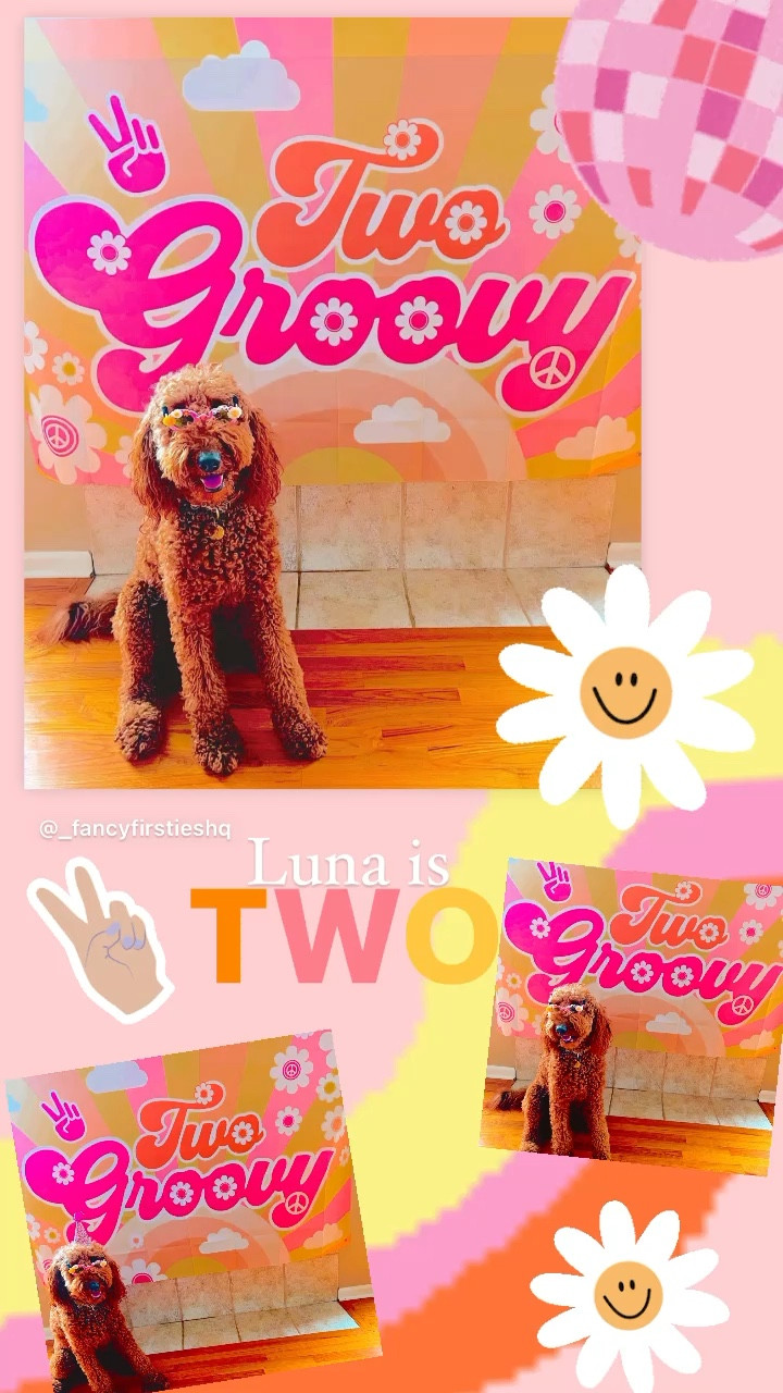 TWO GROOVY ✌🏽🌸☮️
HAPPY 2nd BIRTHDAY LUNA! 🐶
you have taught us to love bigger, be patient, go with the GROOVE and you always keep us on our toes! I cannot imagine my life without you sweet girl! 💗💗💗

#LTKdogs

#LTKSeasonal #LTKfit