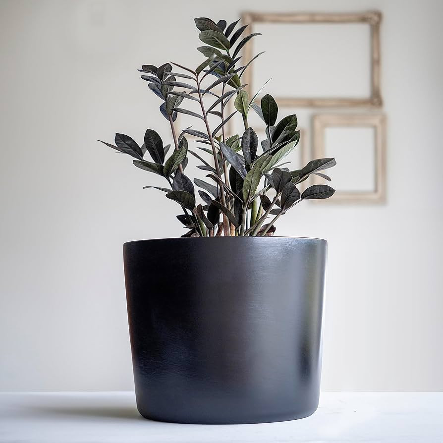 Willowy 12 Inch Large Plant Pot - Black - Large Ceramic Indoor Planter Pot, Large Black Planter, ... | Amazon (US)