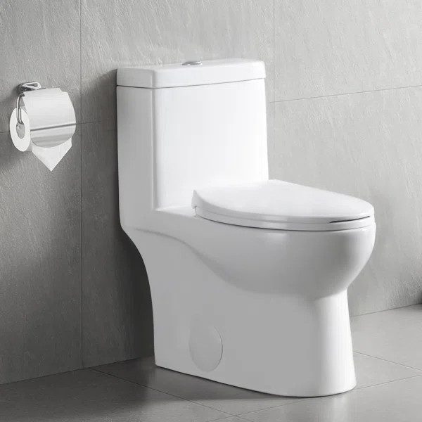DV-1F52816 Ally Dual-Flush Elongated One-Piece Toilet with Glazed Surface (Seat Included) | Wayfair North America