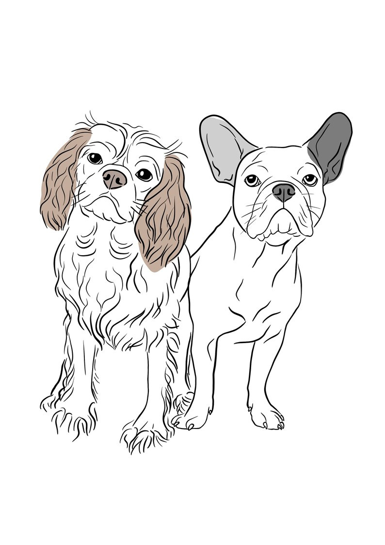 Pet Line Drawing Pet Illustration From Photo Pet - Etsy | Etsy (US)