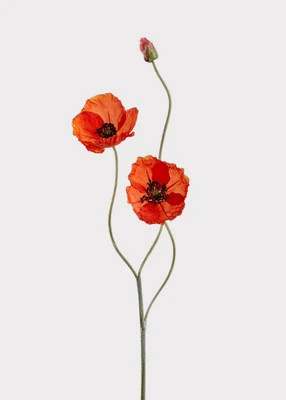 Faux Blooming Poppy Flowers in Orange - 29" | Afloral