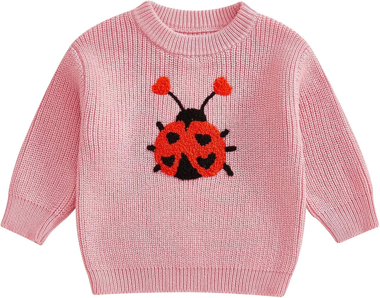 Toddler Girl Ladybug Sweaters Long Sleeve Embroidery Ladybird Jumpers Knit Pullover Tops Infant B... | Amazon (US)