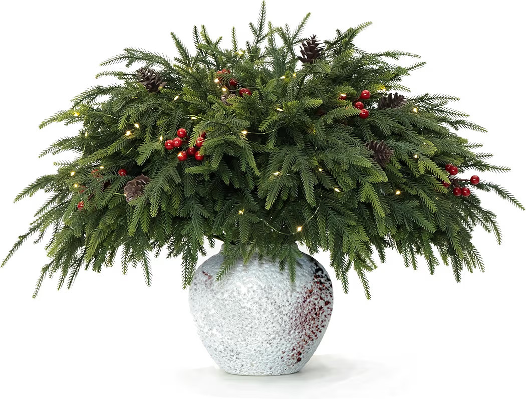 WHANLEY L&Q 10-Piece Set 23" Christmas Norfolk Pine Branches with Lights - Battery Operated Chris... | Amazon (US)