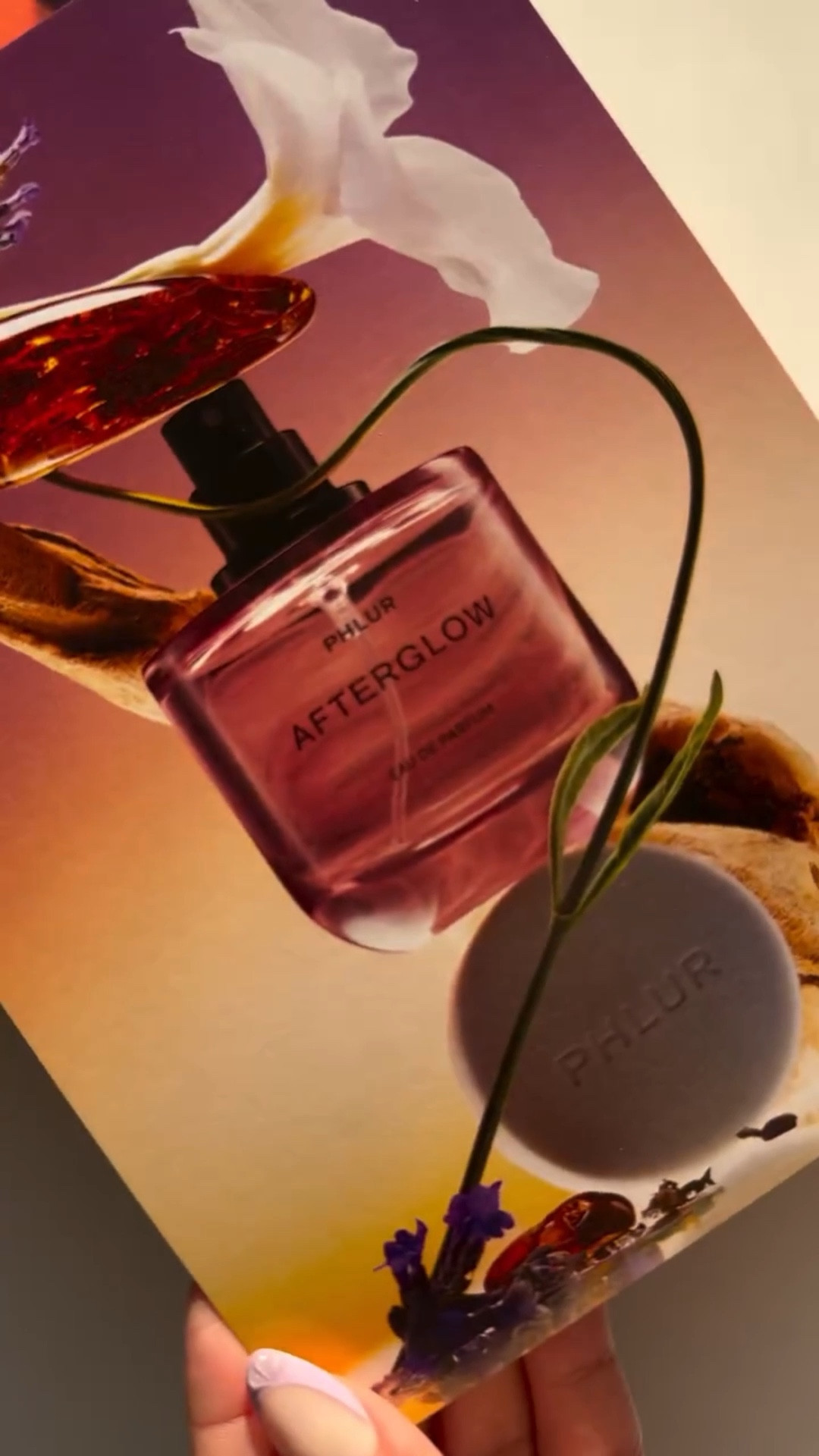 Introducing Afterglow - Phlur’s newest launch .. 
It is a warm spicy scent that reminds you of your first crush.. Warm, sophisticated sweet and mysterious. I absolutely love it.

✨Top: Citrus Splash, Apricot Skin, Coconut Foam
✨Heart: Lavender Milk, Ambrette, Vanilla Planifolia
✨Base: Sandalwood, Amber, Cashmere Woods



@phlur #phlur #phlurfragrance #phlurafterglow #newfragrance #newfragrances #phlurnewarrival #fragrancecommunity #fragrancecollection #fragrancereview #fragrancelover #fotd

#LTKFindsUnder100 #LTKBeauty #LTKHoliday