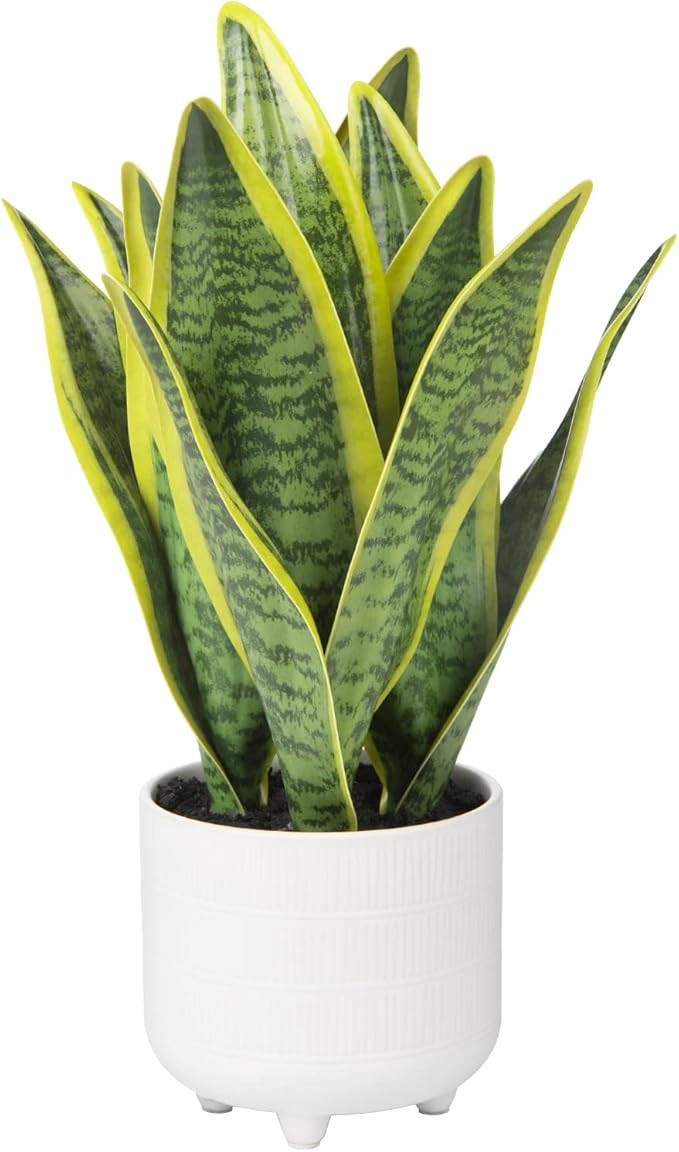 Briful Fake Snake Plant 14" Faux Potted Plant Artificial Snake Plant with White Ceramic Pot Sanse... | Amazon (US)