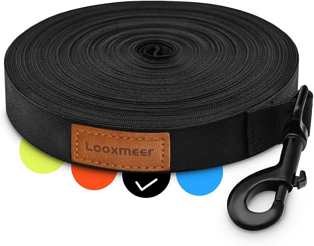 Schleppleine f\u00fcr Hunde, stabile Trainingsleine mit Karabiner | Amazon (DE)