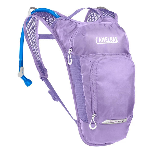 Kids' CamelBak Kids' Mini M.U.L.E. 50oz Hydration Backpack Lavender | Scheels