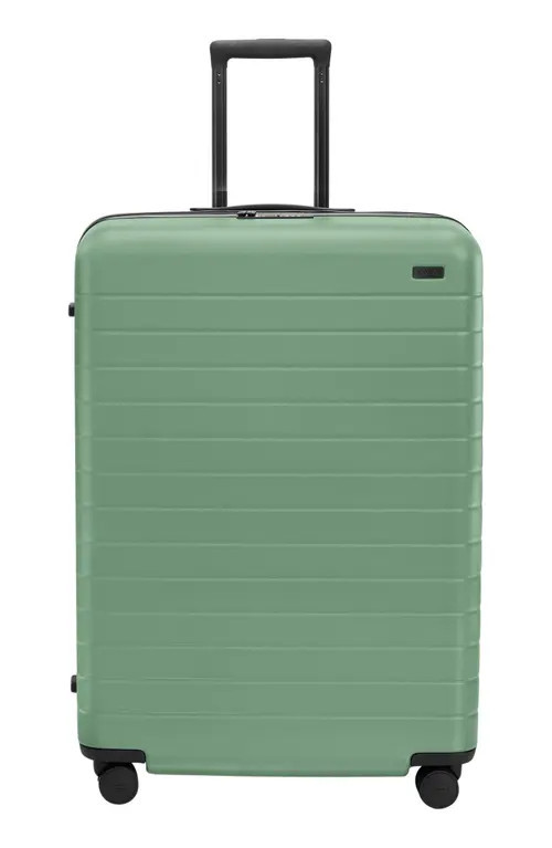 Away Flex 29-Inch Spinner Suitcase in Sea Green at Nordstrom | Nordstrom