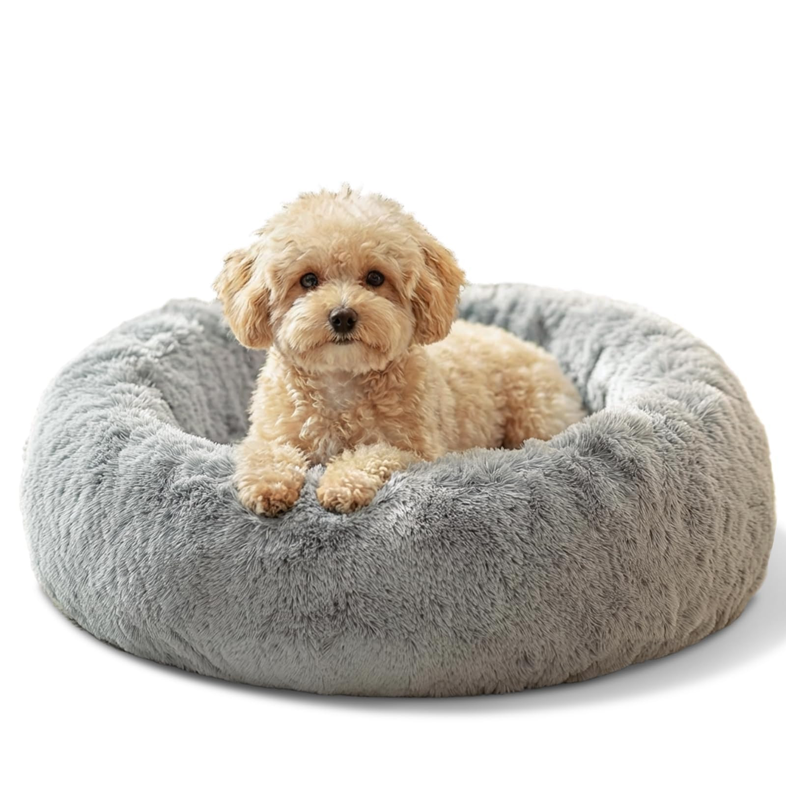 JOLLYVOGUE Small Dog & Cat Beds for Indoor Cats - 20 inches Calming Donut Dog Bed for Kittens & P... | Amazon (US)