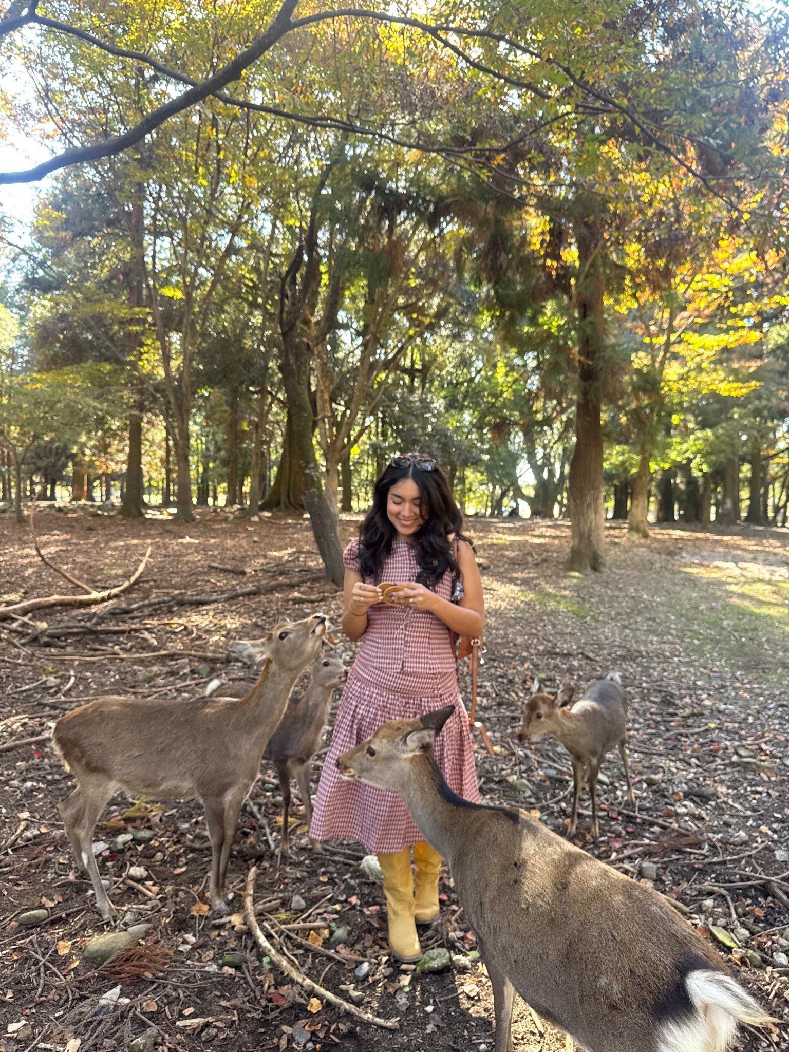 Nara Park OOTD 