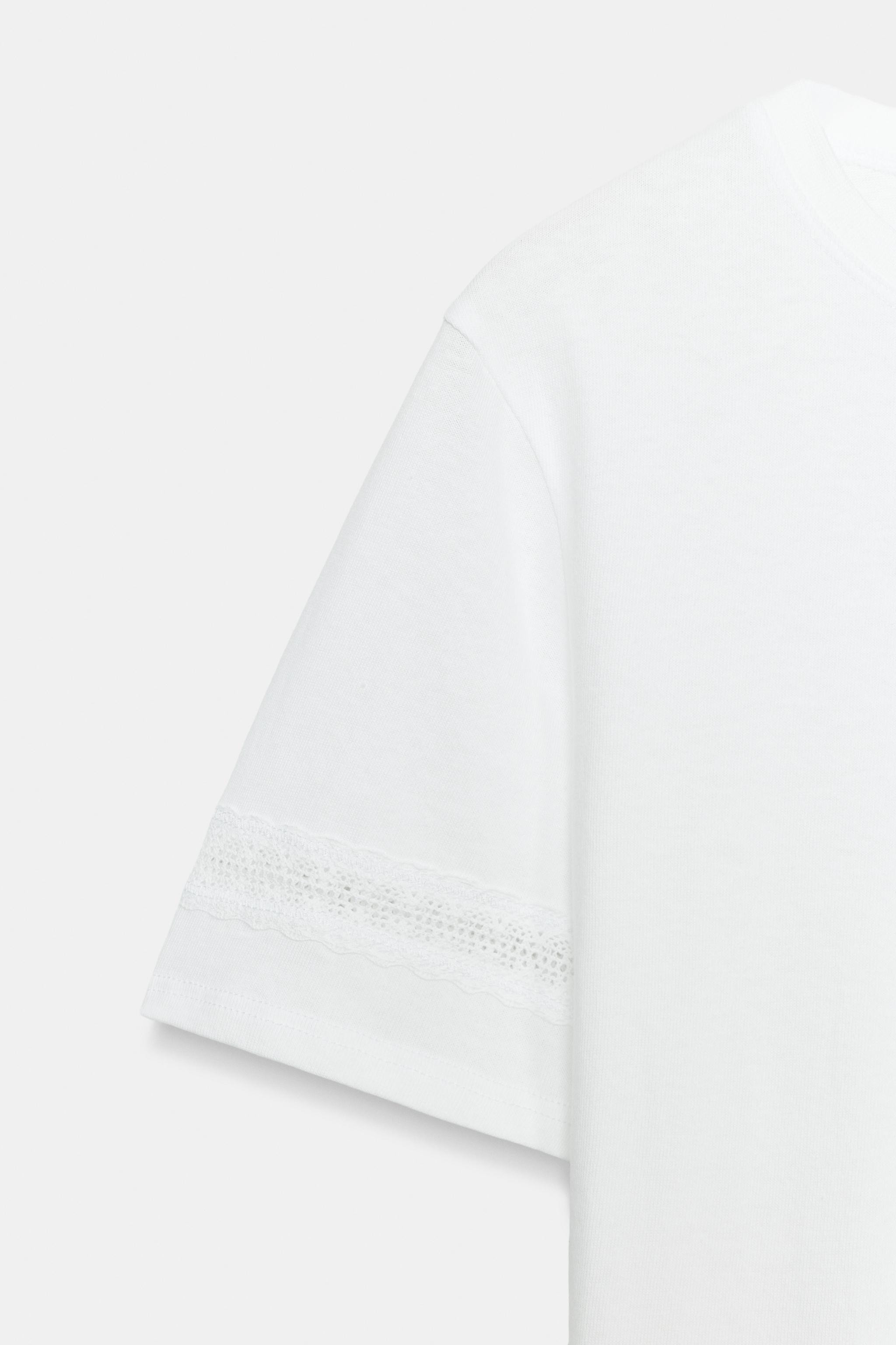 REGULAR FIT - ROUND NECK - SHORT SLEEVEST-shirt crafted from 100% cotton yarn. Round neck and sho... | Zara US