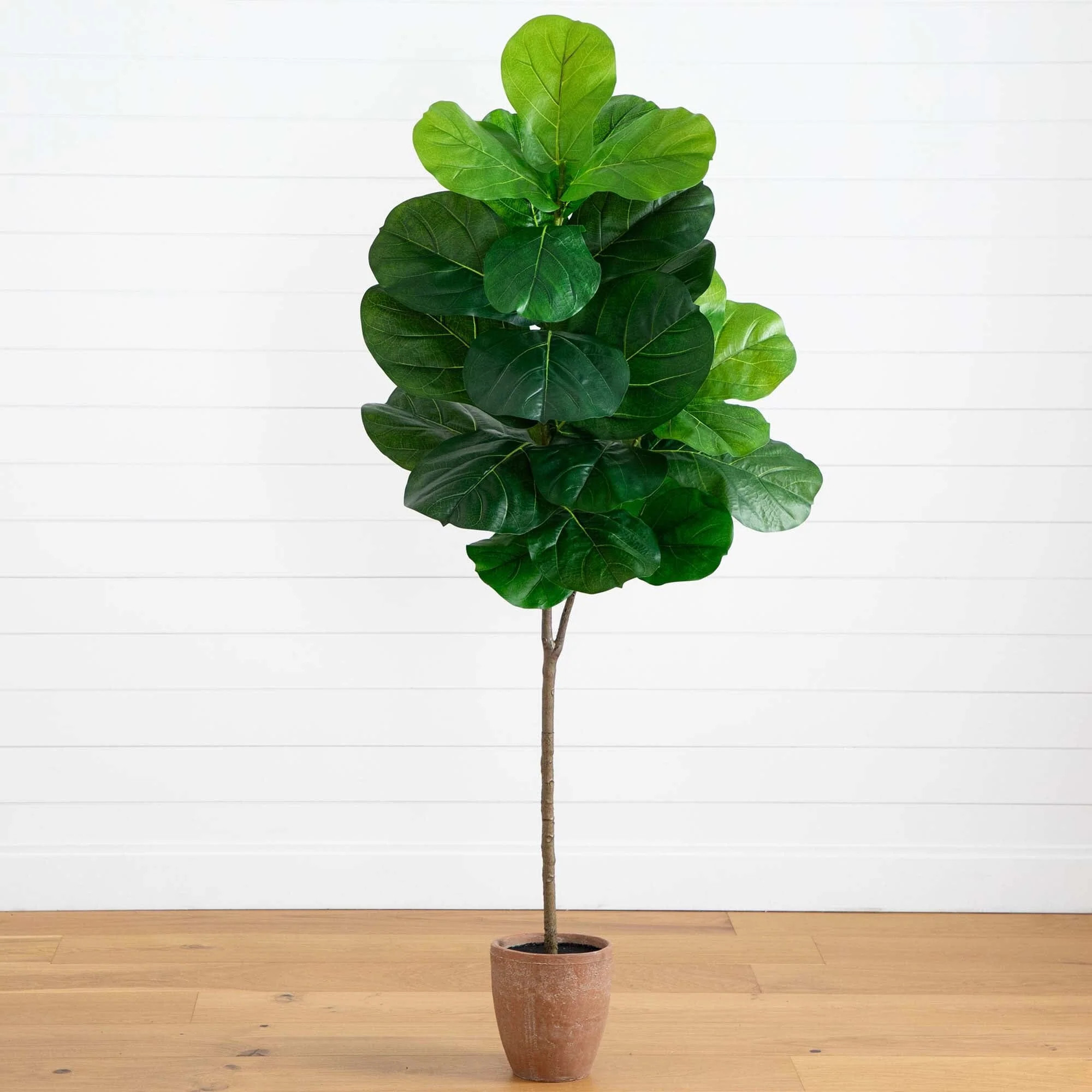 6’ Artificial Giant Leaf Fiddle Leaf Fig Tree in Decorative Planter with Real Touch Leaves | Ne... | Nearly Natural