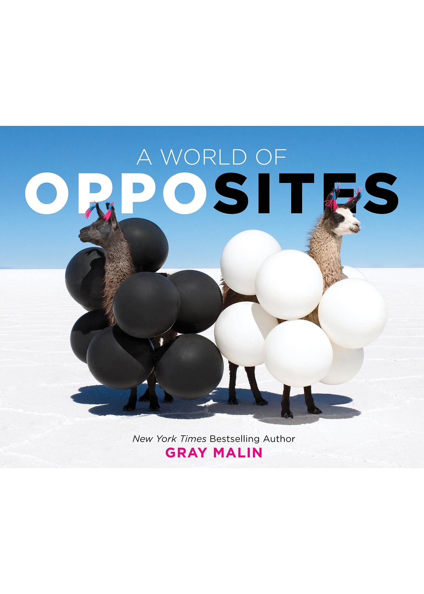 A World of Opposites" Book by Gray Malin | Bergdorf Goodman