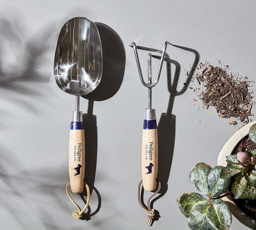 Stainless Steel Garden Cultivator & Soil Scoop Tools | Pottery Barn (US)