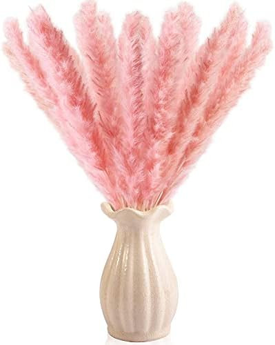 Dry Pampas Grass Natural Dried Bundle for Home Decor 20pcs (Pink) | Amazon (US)