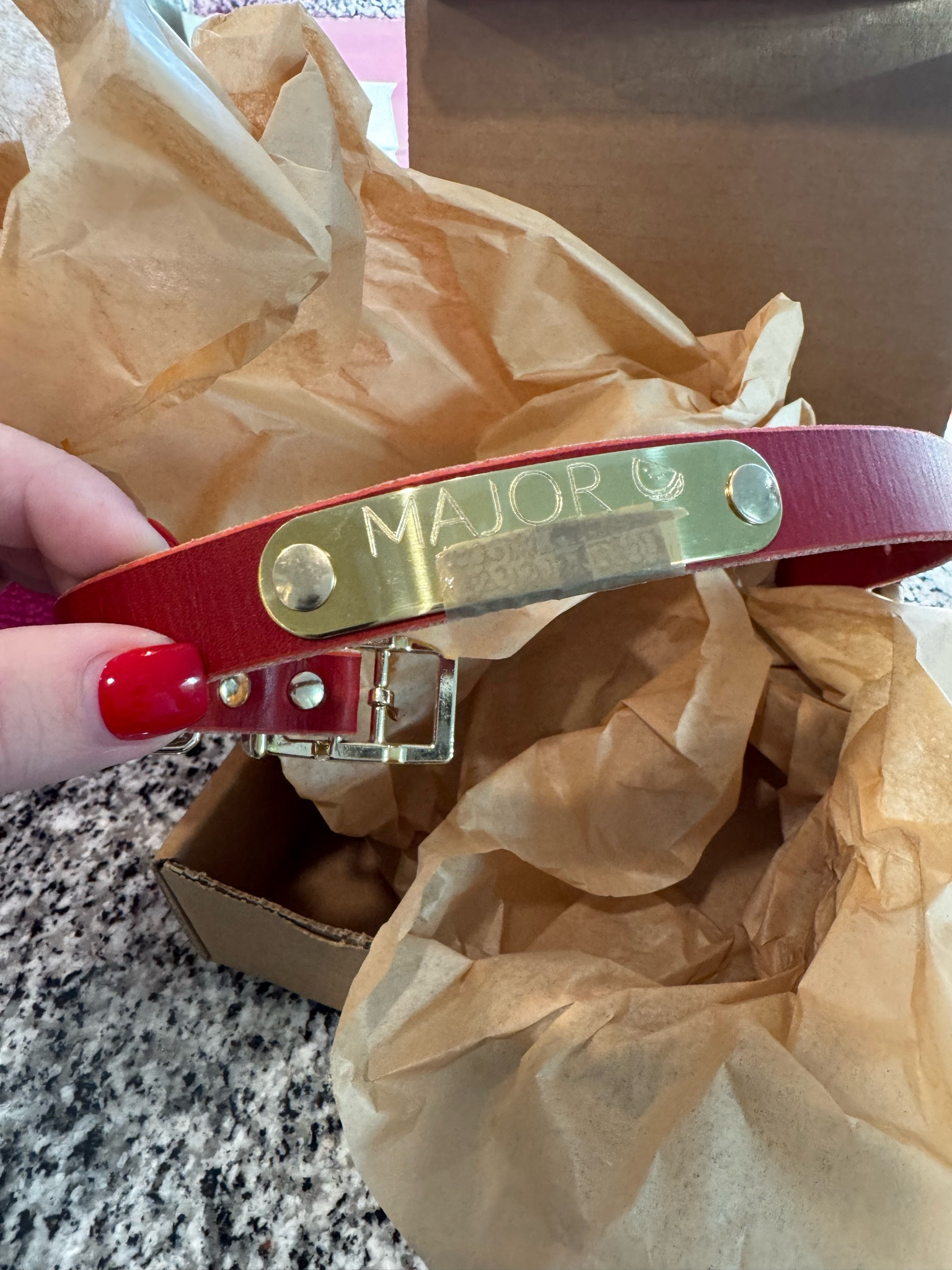 Major’s New Collar! #ltkpets #gsp #leathercollar 

#LTKFamily #LTKHome