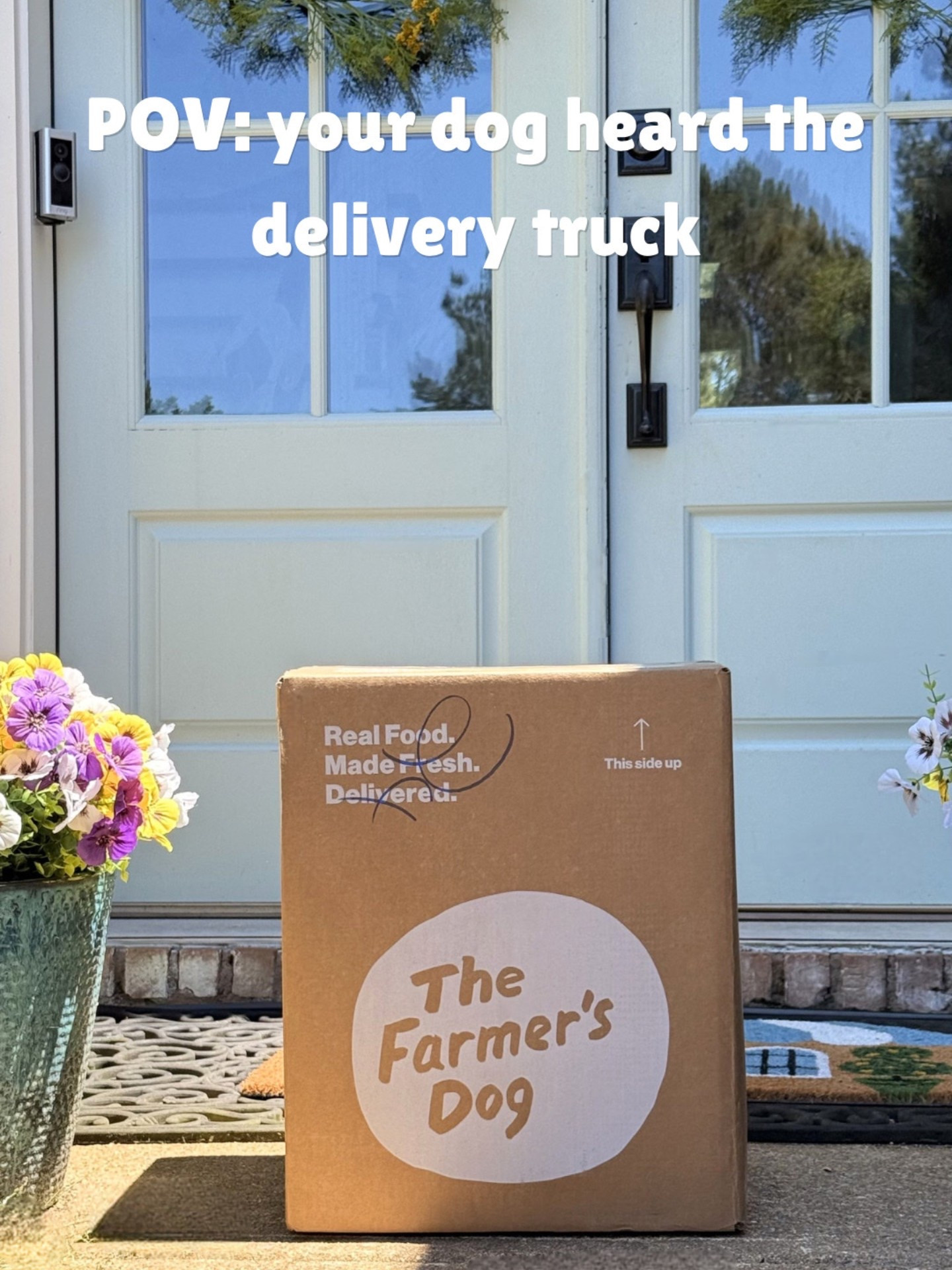 POV: the delivery your dog waits at the window for. 🐶📦

Fresh food, clean ingredients, and the kind of excitement that starts the second the box hits the porch. The Farmer’s Dog has officially entered the chat and let’s just say… dinner time has become an event around here.

If you’ve been curious about fresh dog food, this is your sign to make the switch at ✨HALF OFF✨ with my link below ⬇️

#LTKSaleAlert #LTKHome #LTKmomlife