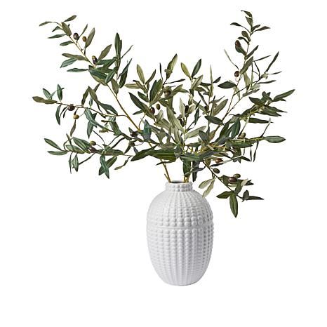 august & leo 40" Olive Branch Arrangement in Embossed Ceramic Vase | HSN