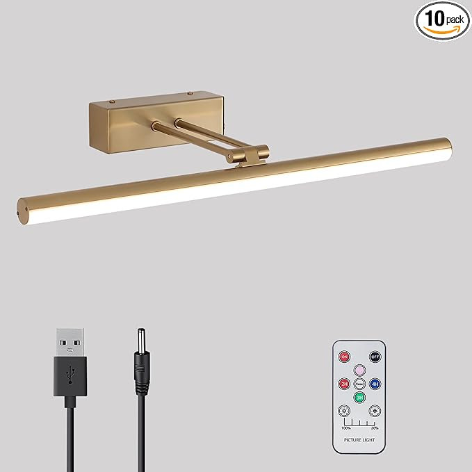 HOWMZON Wireless Picture Light, Battery Operated Picture Light with Remote, 16" Full Metal Art Li... | Amazon (US)