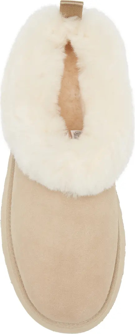 Tazzelle Genuine Shearling Collar Slipper (Women) | Nordstrom