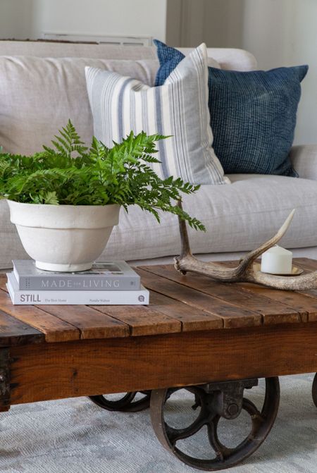 Coffee table styling 
Coffee table books 
Spring florals


#LTKSeasonal #LTKhome