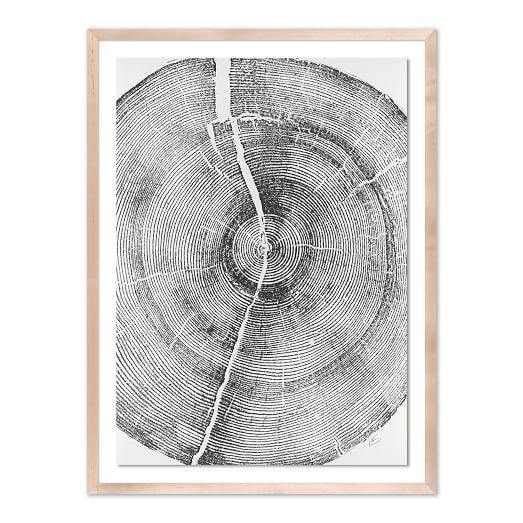 Rock Canyon Pine Framed Wall Art by Erik Linton | West Elm (US)