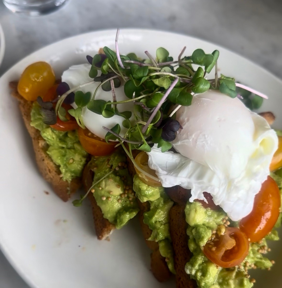 Another spring must — sprouts and micro greens 💚

I recently purchased a sprouting kit so I can grow sprouts to add to my meals. Sprouts have so many health benefits, which being autoimmune is so important for me, including reducing inflammation, reducing bad cholesterol, improving gut health, cancer fighting… the list goes on. Make sure to do lots of reading to ensure your sprouts are properly cleaned, organic, and safe. Sustainability is a focus for me this year, so I’m really excited 🌱

#LTKFindsUnder50 #LTKSeasonal #LTKHome