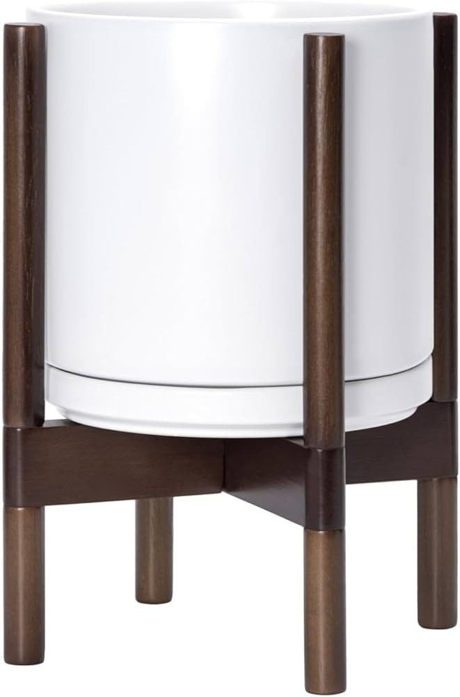 D'vine Dev | Amazon (US)