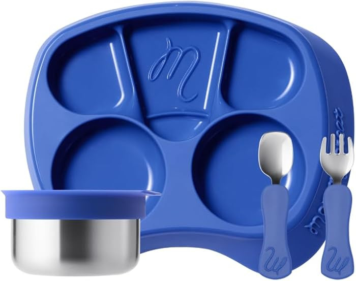 Platinum Silicone Divided Toddler Plate, BPA-Free, Dishwasher Safe, 12m+ (Blue (Blueberry), Silic... | Amazon (US)
