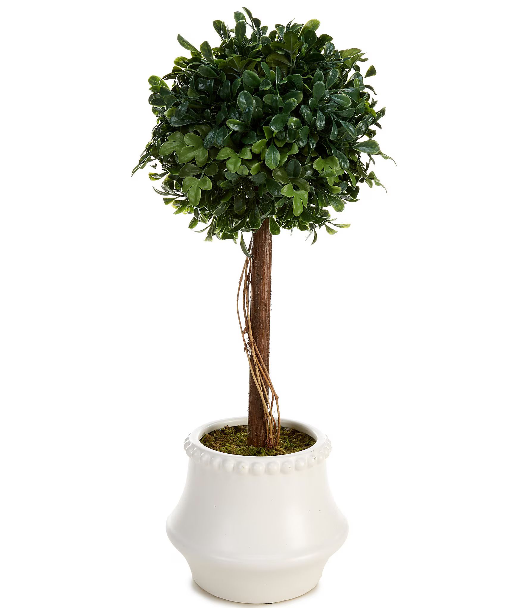 22" Faux Boxwood Topiary Tabletop Tree | Dillard's