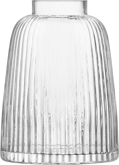 LSA International Pleat Vase H10.25in Clear | Amazon (US)