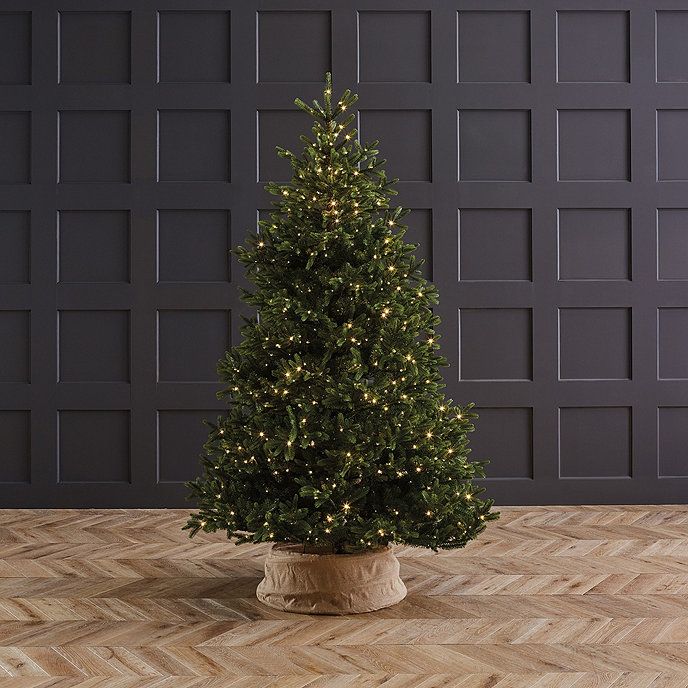 Prelit Nordmann Fir Tree | Ballard Designs, Inc.