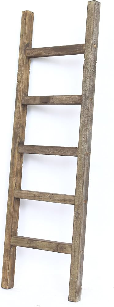 BarnwoodUSA Rustic Farmhouse Decorative Ladder - Our 47 inch Ladder can be Mounted Horizontally o... | Amazon (CA)