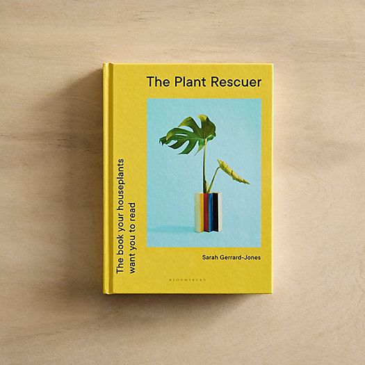 The Plant Rescuer | Terrain
