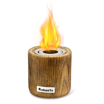 Portable Tabletop Mini Ethanol Fire Pit Bowl Fireplace, Wick Included, Indoor, Outdoor Use | Wayfair North America