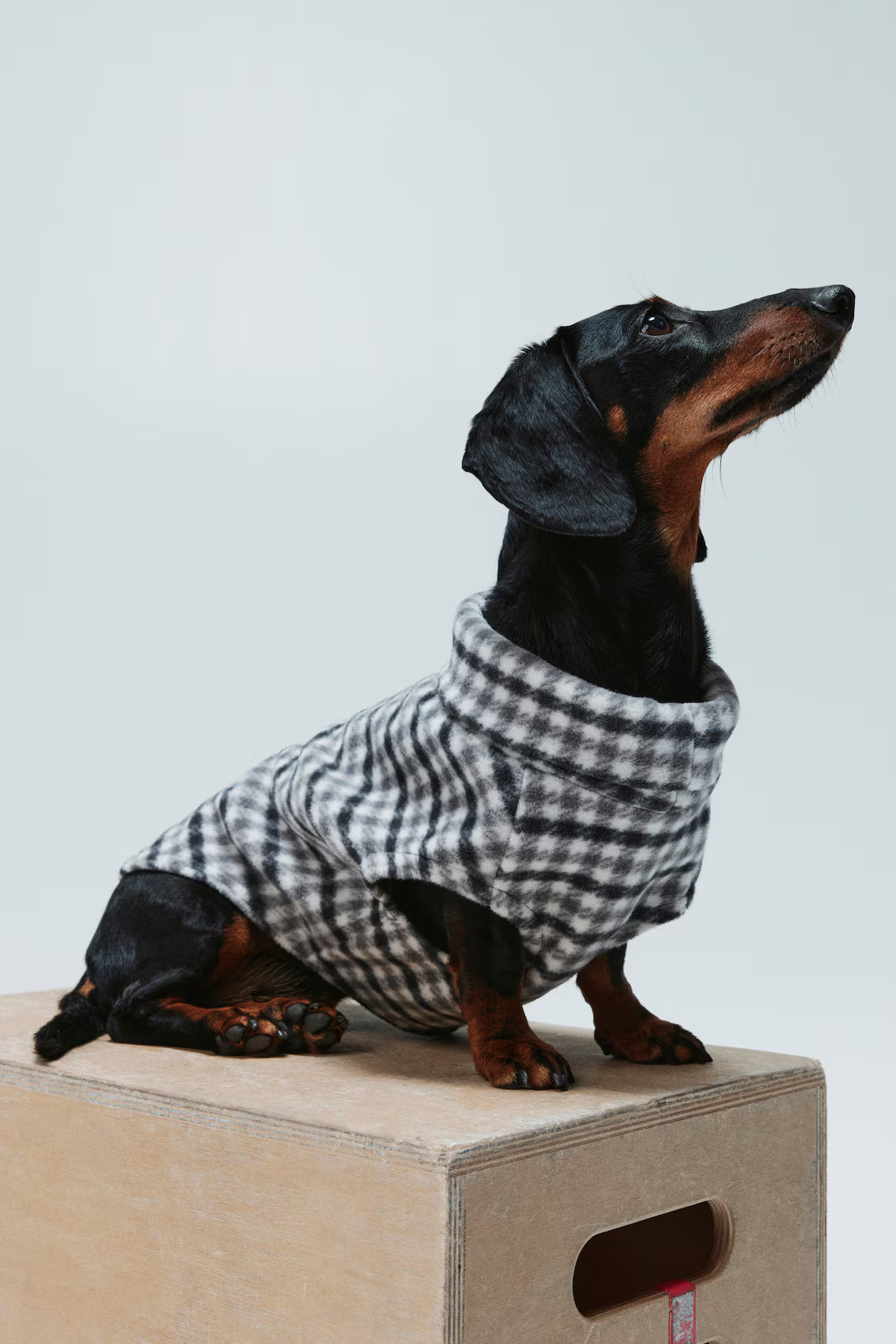 Fleece Top for Dog - White/gingham check - Ladies | H&M US | H&M (US + CA)