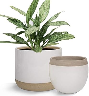 White Ceramic Flower Plant Pots - 6.5 Inch Pack 2 Indoor Planters, Plant Containers with Beige an... | Amazon (US)