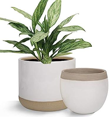 White Ceramic Flower Plant Pots - 6.5 Inch Pack 2 Indoor Planters, Plant Containers with Beige an... | Amazon (US)