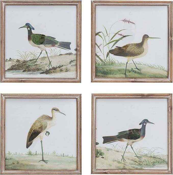 Creative Co-Op Reclaimed Wood Framed Bird Print Wall Art, Multicolor, Set of 4 | Amazon (US)