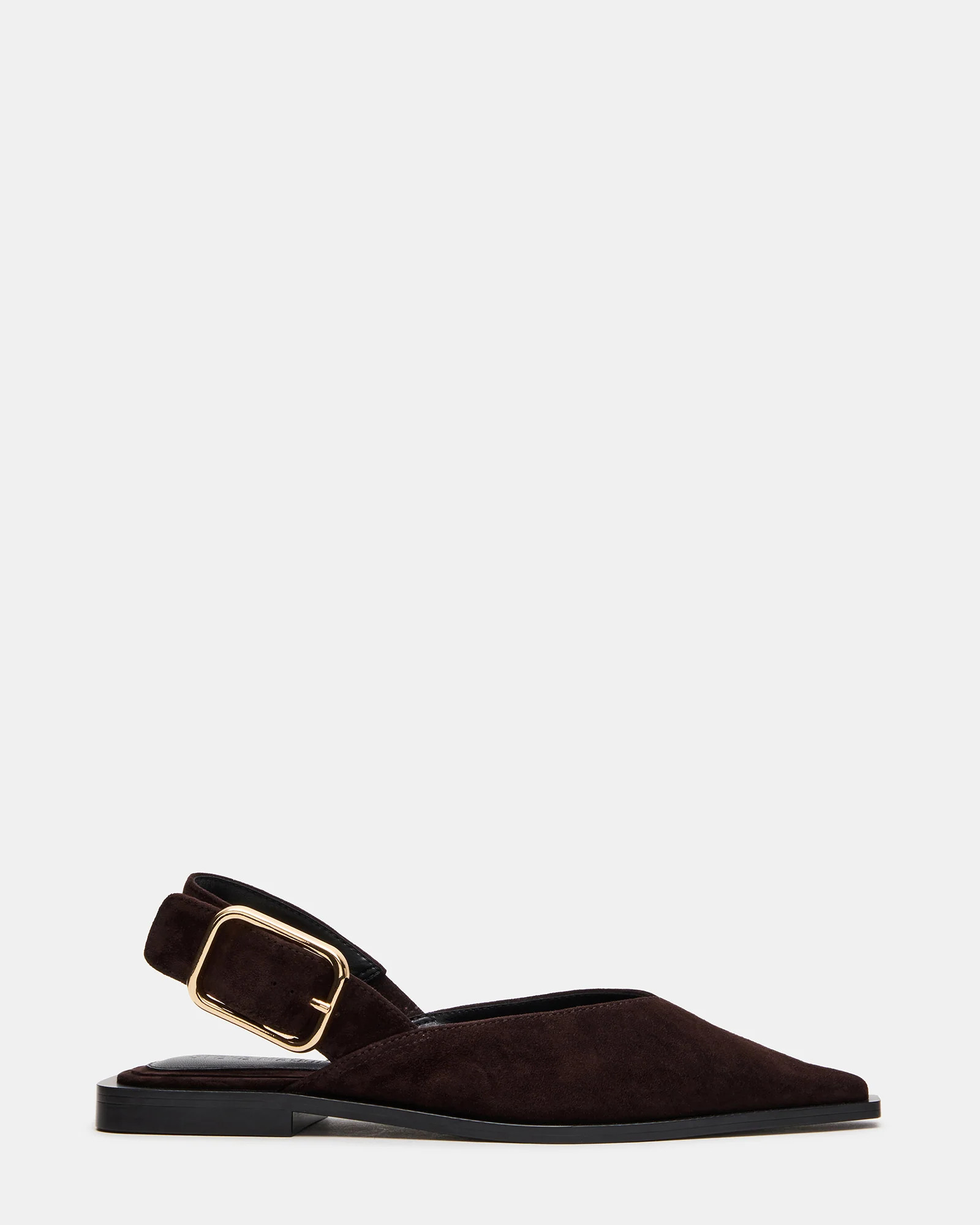 Steve Madden Women's Shay Gold Detail Flats - Brown Suede - Size 11 | Steve Madden (US)