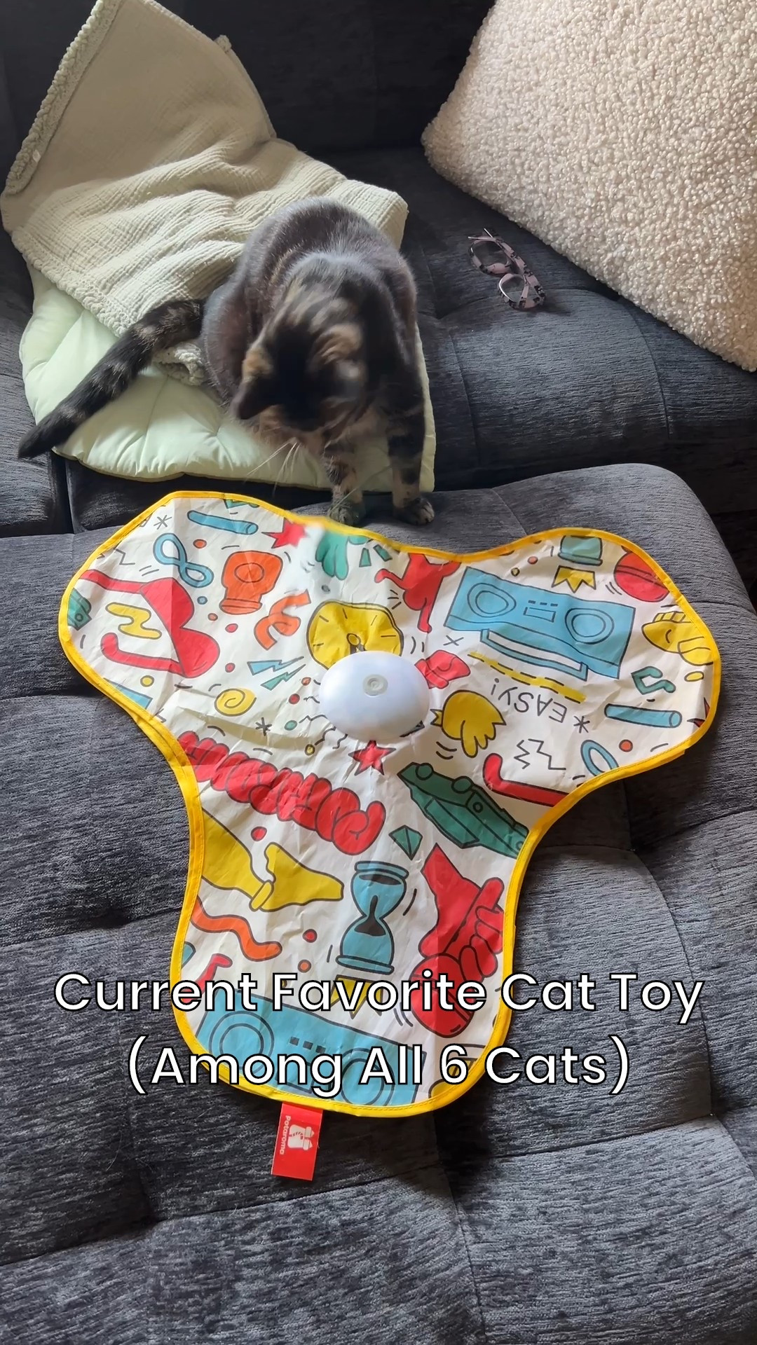 All six of our cats love this toy!

#LTKHome #LTKPets