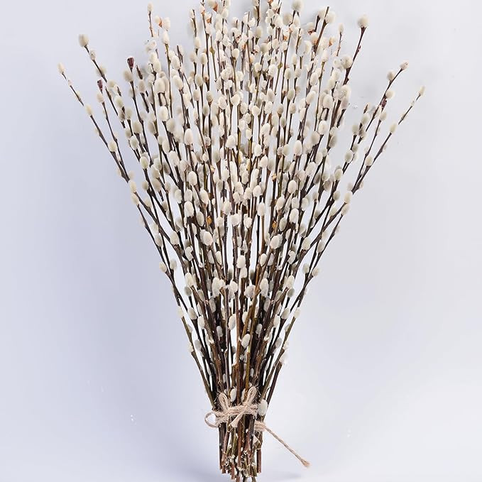 45 Stems 17＂Real Dried Pussy Willow Branches for Vase，100% Natural PussyWillows with White Fl... | Amazon (US)